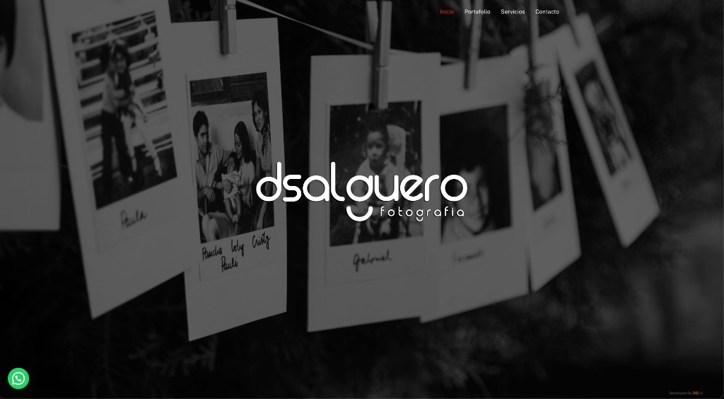 Vista previa del sitio dsalguero.com